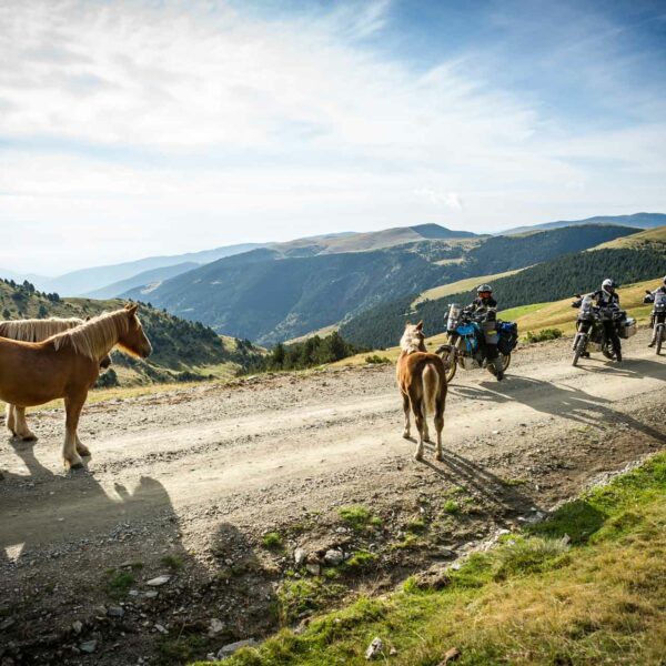 ACT Ride & Train Pyrenees